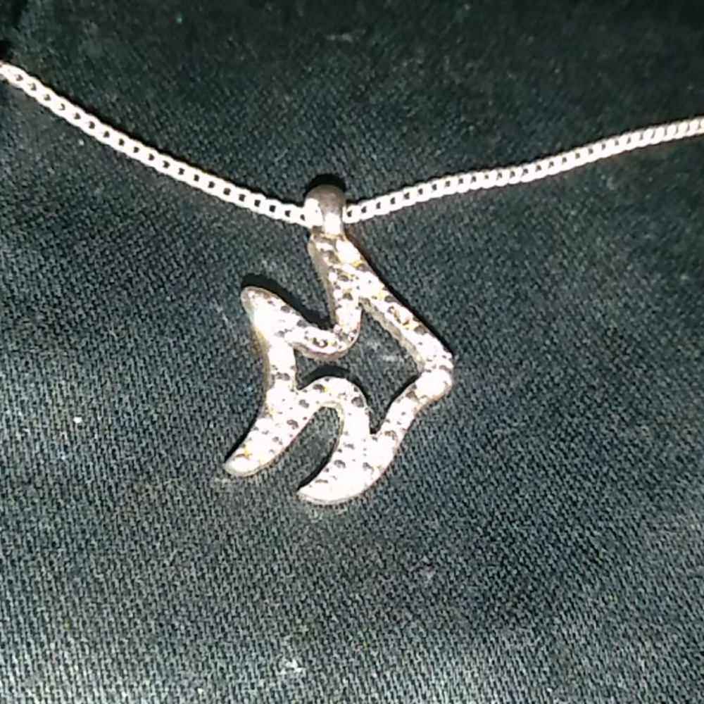 My grandma's silver bling fish necklace $10.
